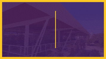 Donate GIF by ECU STEPP Program
