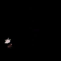 uzualoficial uzual uzual campinas uzual calçados uzual indaiatuba GIF