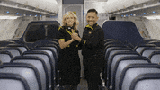 SpiritAirlines fly letsgo spirit spiritairlines GIF
