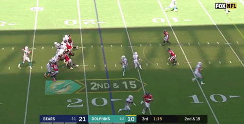 miami dolphins mike GIF