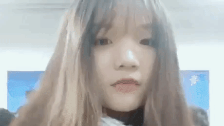 its a trap GIF