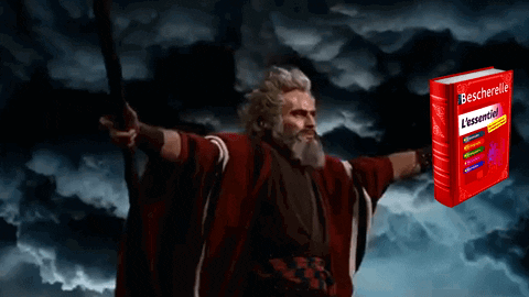GuiDaFunkyMan giphyupload francais bescherelle charabia GIF