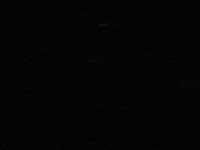 bjjinsight lion bjj brazilian jiu jitsu renzo gracie GIF