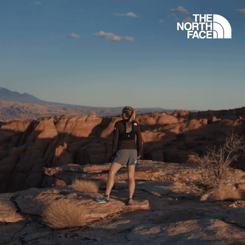 Have You Ever - The North Face