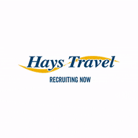 haystravel job career hiring newcastle GIF