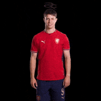 Fifa World Cup Uefa GIF by Respective