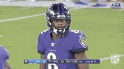 National Football League GIF by NFL