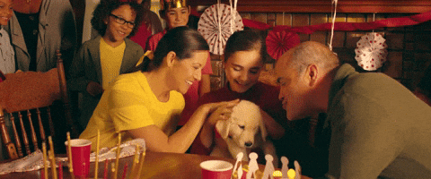golden retriever GIF by Marshmello