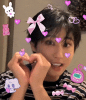 Stray Kids Skz GIF