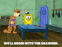 season 7 episode 3 GIF by SpongeBob SquarePants