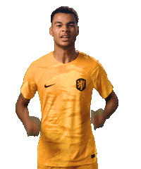 Fifaworldcup Celebrating Sticker by OnsOranje