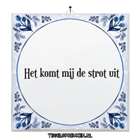 Wijsheid Overload Sticker by Tegelspreuken.nl