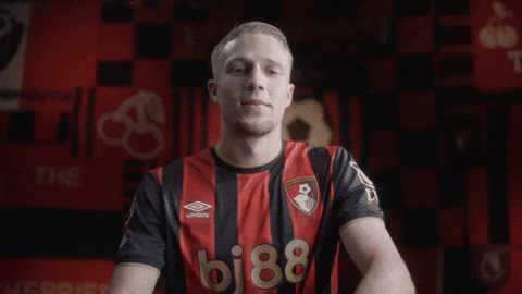 Premier League Football GIF by AFC Bournemouth