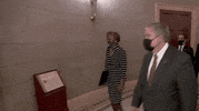 Impeachment GIF by GIPHY News