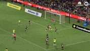 Matildas GIF by Football Australia