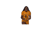 Lets Go Basketball Sticker by Cal Athletics