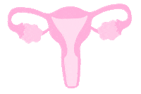 Uterus Endometriose Sticker by mapatho