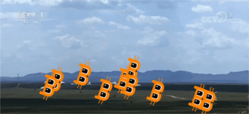 billydollarcat giphyupload cat meme animated GIF