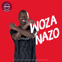 south african soccer win GIF