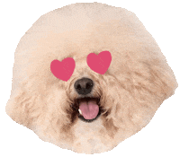 I Love You Hearts Sticker
