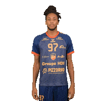 Srvhb Sticker by Saint-Raphaël Var Handball