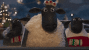Shaun The Sheep What GIF by Aardman Animations