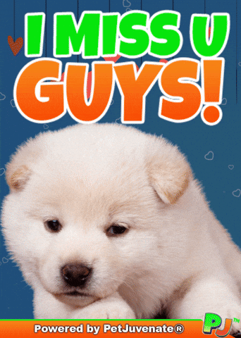 Henlo Hooman Fren GIF by PetJuvenate - PJ