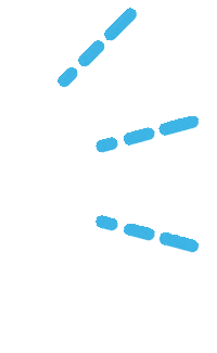 Half Marathon Sticker by Nuun Hydration