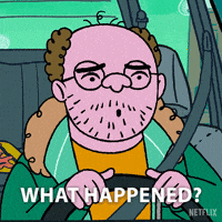 Bojack Horseman Comedy GIF by NETFLIX
