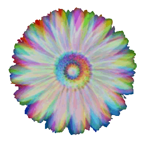 color gif artist Sticker