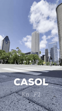 Driving Formula 1 GIF by Casol