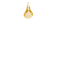 Summer Glow Sticker by Jurlique