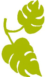 Happy Sticker by Urban Monkey RAW