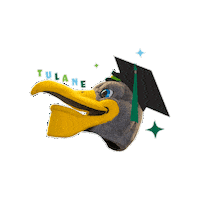 Tulane Commencement Sticker by Tulane University