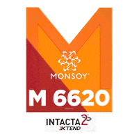 Monsoy Sticker by intactarr2pro