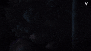 sad merry christmas GIF by Videoland