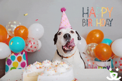 Video gif. Black and white dog in a pointed, pink birthday hat licks its lips over a white birthday cake with sprinkles. Colorful balloons and falling confetti fill the scene with glitter lettering, "Happy Birthday"