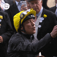 Royal Ascot Horse Riding GIF by World Horse Racing