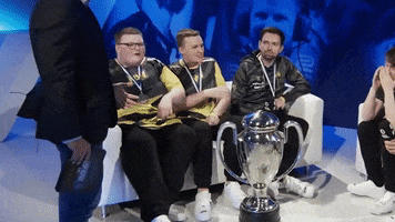 GIF by Natus Vincere