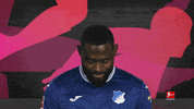 Tsg Hoffenheim Football GIF by Bundesliga