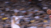 stephen curry GIF