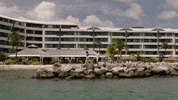 GIF by HGVSocial