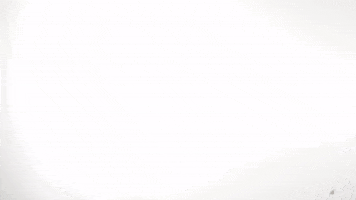 gowest uwg GIF by University of West Georgia