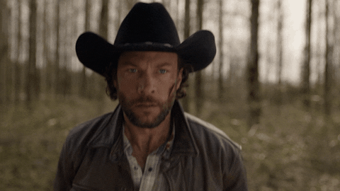 Big Sky GIF by ABC Network