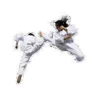 Workout Fighting Sticker by vank