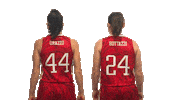 Emote Mari Sticker by Basket 2000 SanGiorgio