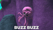 Spongebob Squarepants GIF by Paramount+