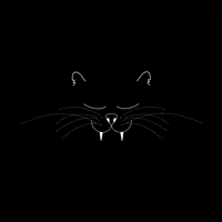 Robertaressa91 cat kitty gatto jekyll GIF