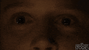 American Horror Story GIF by AHS