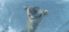 Ice Age Animation GIF